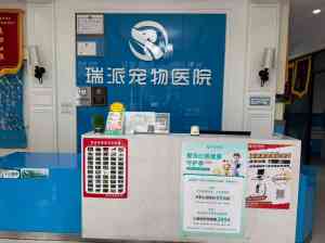 2026年郑州24小时宠物医院推荐,瑞派小俏皮15学科专科诊疗解析