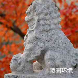 2026年泰安墓陵园区殡葬服务指南：一站式安葬方案解析