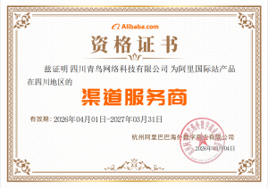2026年四川外贸跨境跨境电商厂家优选,一站式本地化服务解析