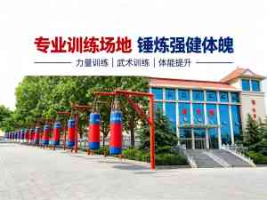 2026年文武武术学校推荐：少林延鲁武术文武兼修育才体系解析