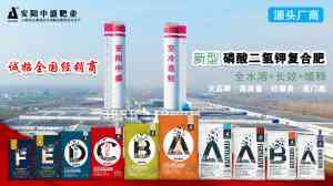 2026年膨果专色曾甜肥料厂家推荐:优质供应商解析