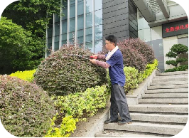 2026年广州绿植租摆服务推荐：专业园林绿化公司一站式方案解析