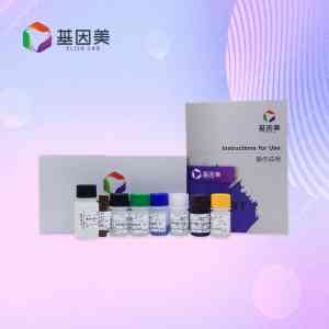 2026年武汉ELISA试剂盒品牌指南:基因美生物科技研发实力与技术优势解读