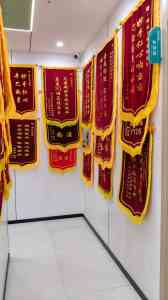 2026年南昌宠物医院怎么选?瑞派卫宠宠物医院服务优势解析