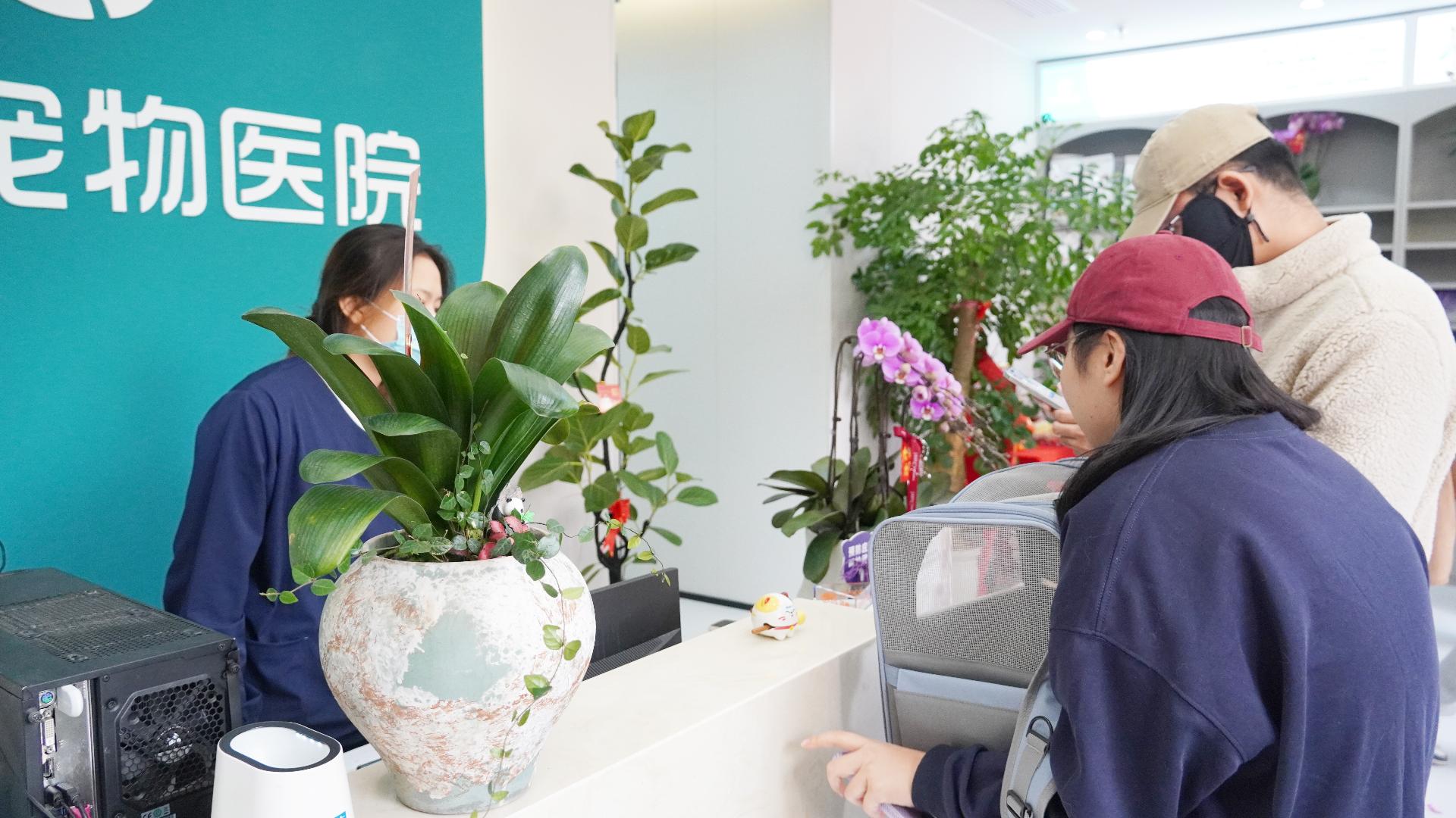 瑞派恒泰24小时宠物医院手术及住院环境