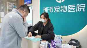 2026年无锡24小时宠物医院推荐：瑞派恒泰转诊中心解析