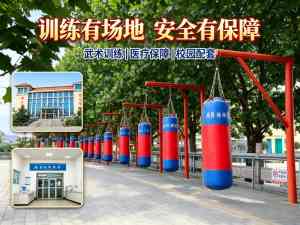 2026年登封武术特长训练营解析:少林延鲁文武兼修成才体系推荐