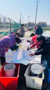 2026年苏州阳澄湖湖边农家乐精选:苏式园林品蟹体验推荐