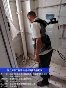 2026年武汉别墅白蚁根除服务优选:专业防治机构解析