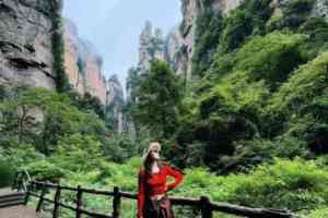 2026年张家界精简行程优选:微观乐游国际旅行社品质服务解析
