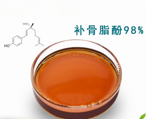 2026年陕西蒲公英提取物厂家推荐:浩洋生物科技专注植物萃取源头供应