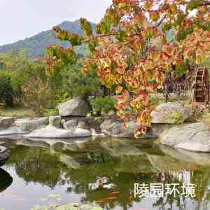 2026年泰安公墓陵园机构推荐:泰山长安人文纪念园一站式服务解析