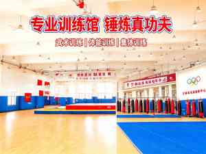 2026年青少年文武学校选择指南:少林延鲁武术文武兼修教育体系解析