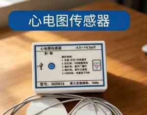 2026年高温传感器厂家推荐:扬中光扬电子仪器详解