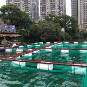 2026年水产网箱厂家推荐：沅江福利渔网加工厂专业制造解析