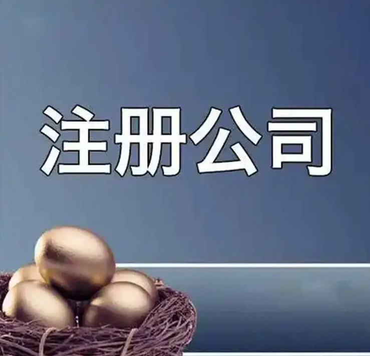 专业财税团队