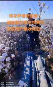 2026年深圳微生物水溶肥厂家推荐:超级菌王复合菌群解析