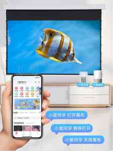 2026年无锡隐藏式升降幕厂家推荐,冬慧影视器材专业解析