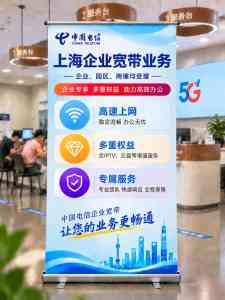 2026年高速宽带服务商推荐:上海电信全光网络与智算能力解析