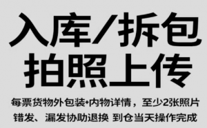 2026年行李寄到国外服务选哪家?集运专线一站式解析
