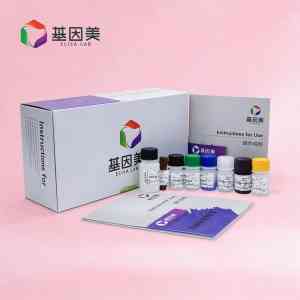 2026年Aβ1-42 ELISA试剂盒供应商优选:武汉基因美生物科技解析