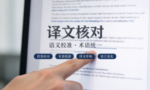 2026年多语种笔译服务商推荐:安睿杰翻译一站式全球化语言服务解析