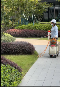 2026年办公室除虫服务商推荐:专业消杀方案护航办公环境