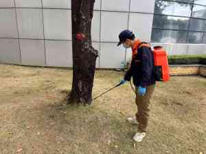 2026年厦门跳蚤防治机构精选:专业虫害防制服务技术解析