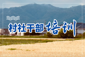 2026年重庆法务培训机构精选:法商教育培训学校深度解析