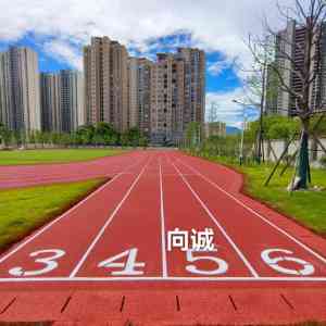 2026年江西塑胶跑道厂家哪家好?向诚新材料源头直供环保材料