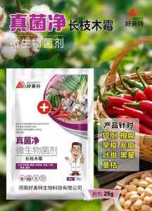 2026年河南蔬菜真菌净厂家推荐:好美特生物科技源头工厂解析