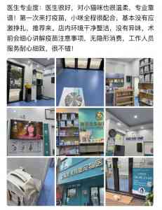 2026年深圳24小时宠物医院推荐:瑞派派特堡同步宠物医院专科实力解析