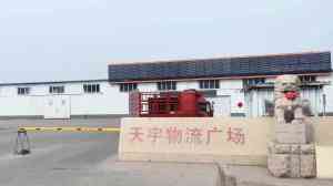 2026年青岛跨境电商物流服务商推荐:一站式供应链能力深度解析