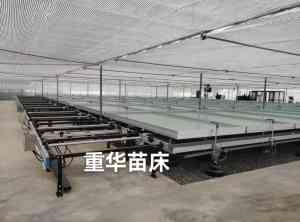 2026年育苗床供应商推荐:安平重华苗床网源头工厂实力解析