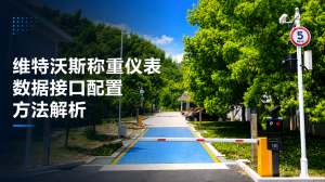 2026年青岛无人值守称重系统生产商精选：智能称重解决方案供应商推荐