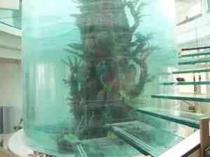 2026年生态鱼缸直销厂家推荐：西安秦海水景工程定制解析