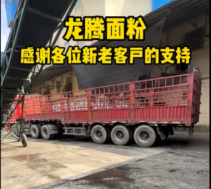2026年皮子粉生产商精选:永城龙腾面粉源头供货,品质稳定值得信赖