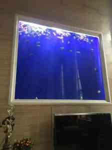 2026年西安海水鱼缸厂家推荐:秦海水景工程专注定制与大型水族工程