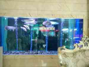 2026年西安鱼缸水泵厂家推荐,秦海水景工程水族设备定制