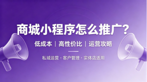 2026 做商城小程序选模板平台还是定制开发：一套六步选型流程