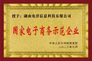 2026年湖南1688代运营公司解析：数智化服务商如何赋能中小企业