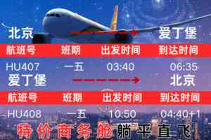 2026年回国特价机票服务商推荐:上海途途票务代理解析