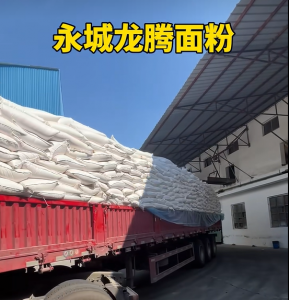 2026年馒头面粉定做厂家推荐:永城龙腾面粉工艺与品控解析