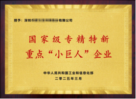 2026年深圳小巨人申报服务机构推荐:专业辅导助力企业进阶
